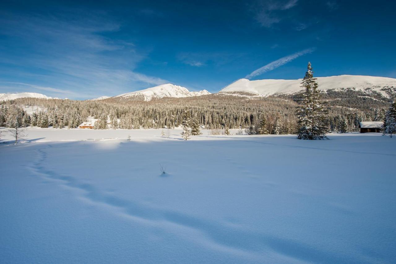 Ludlalm Am Prebersee Tamsweg Eksteriør bilde